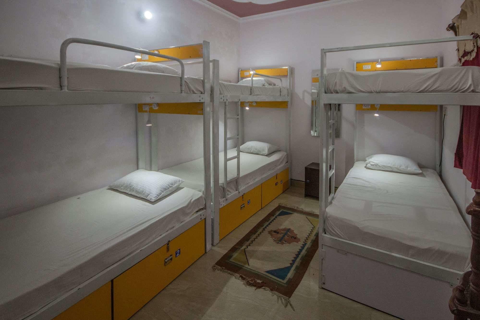 Backpacker Panda Friends - Agra Hostel Agra  Ngoại thất bức ảnh